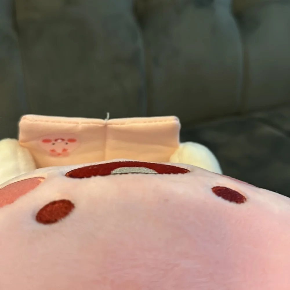 Kakao Friends Apeach (reading a book) Plush rare - Picture 5 of 5
